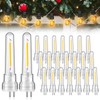 Rossesay 24 Pcs S14 Bulbs for Outdoor String Lights 1.5