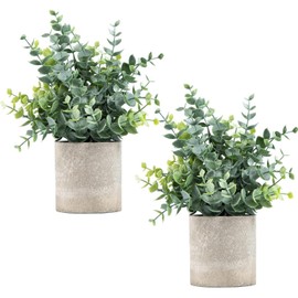 Plantas Artificiales en Maceta, 2 Paquetes de Plantas de Plástico, Flores Falsas en Macetas para Decoración para del Hogar, Mesa de Comedor,...       