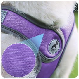 Dog Harness with Leash Set, Puppy Harnesses with Breathable Padded for Small Dogs Walking Escape Proof (XS, Purple)
