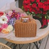 Alipis Woven Plastic Wicker Suitcase, Retro Rattan Suitcase Box with
