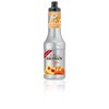 MONIN Peach Fruit Mix 16.9 fl oz (500 ml) x