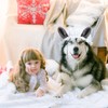 Haysandy 3 Pcs Halloween Big Bad Wolf Dog Costume Granny