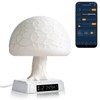 Sunrise Alarm Clock lamp APP Control Bioclock Adjustment Light Therapy