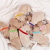 12pcs Puppy ID Collars,Double-Sided Soft Adjustable Identification Pet Collar,Puppy ID