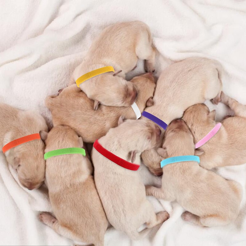 12pcs Puppy ID Collars,Double-Sided Soft Adjustable Identification Pet Collar,Puppy ID