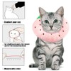 crazy bean Postoperative Protective Collar for Cats Soft Adjustable Safe