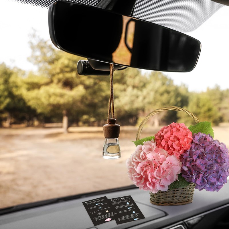 Motiskyy 200 Pcs Hanging Car Diffuser Instruction Cards for Car