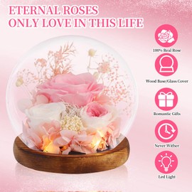 Preserved Roses Real Flowers in Glass Gifts for Women,Mom,Girlfriend,Grandma,Long-Lasting Eternal Roses with Led Lights,Flowers for Delivery Prime Valentines,Birthday,Mothers Day,Christmas(Pink)