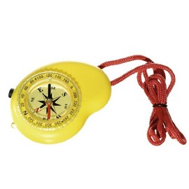 Multi-Function Compass and Light