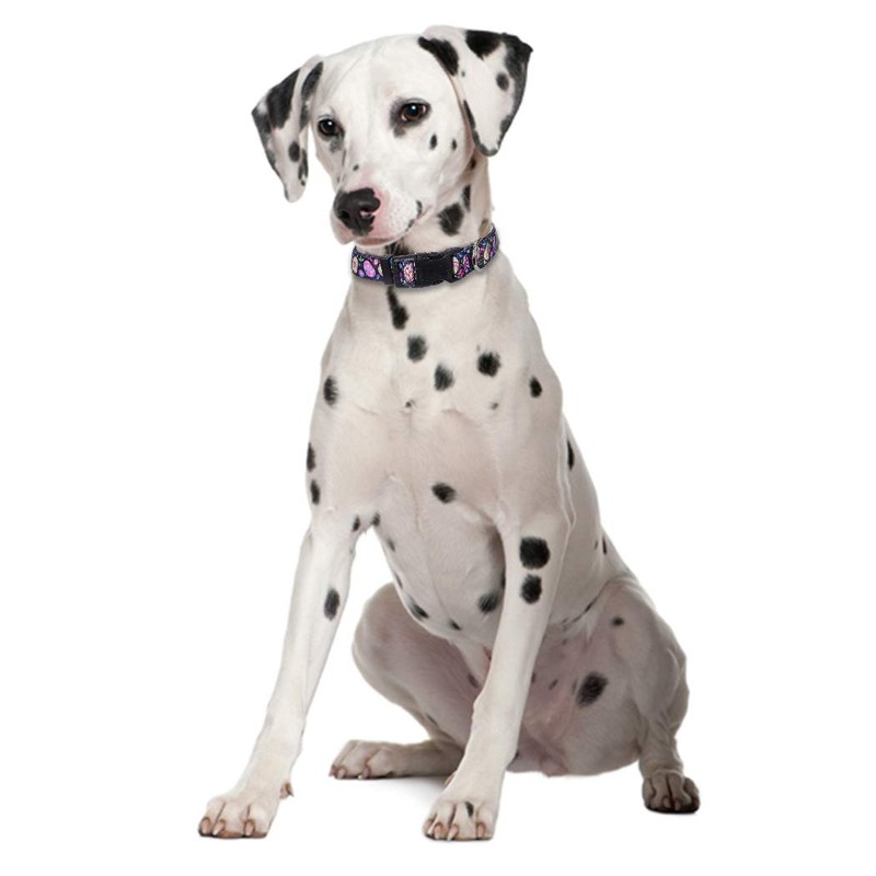 2 Pack Easter Dog Collar Adjustable Nylon Pet Collars Easter