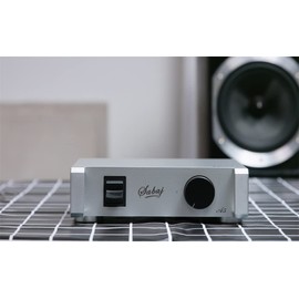 SABAJ A5 Dual Analog Input Power Amplifier, Retro Appearance ICEpower Module, RCA*2 Input