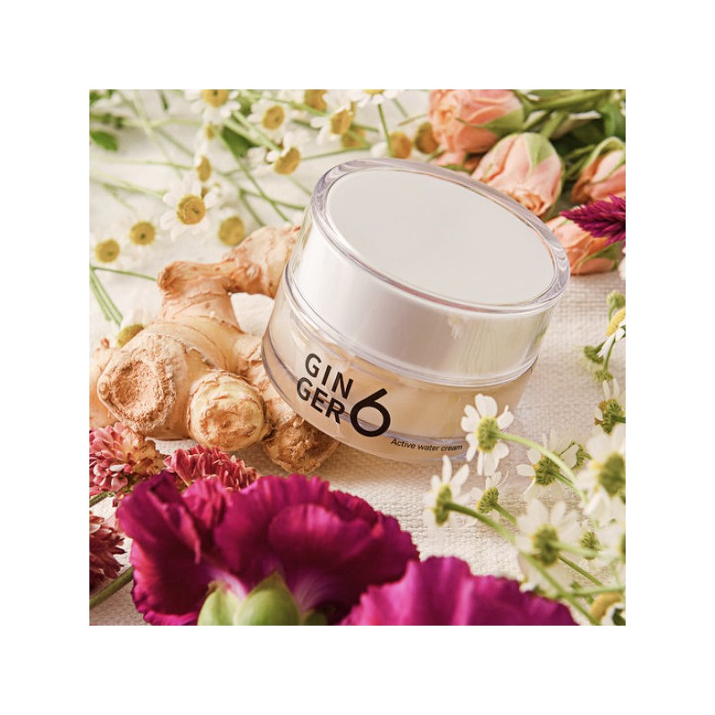 진저6 비건 액티브 워터 수분 크림 50ml Ginger6 Vegan Active