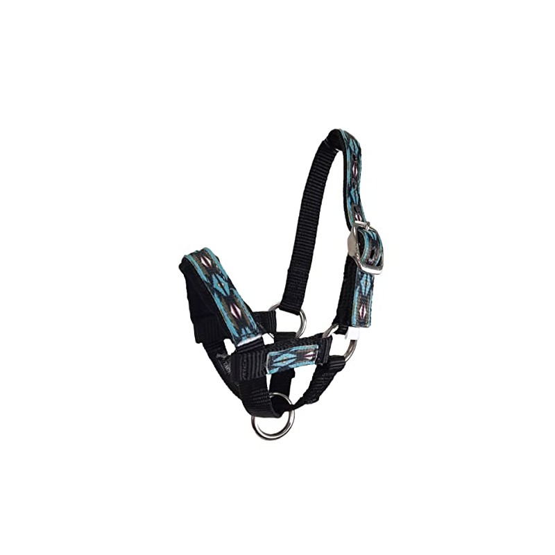 Tahoe Tack Nylon Overlay Alpaca Halter with Padded Noseband (Blue
