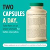 Incite Nutrition Pre + Pro Bio Cultures Complex 13 Billion