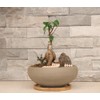 MUZHI Round Unglazed Ceramic Bonsai Pot with Bamboo Tray, Large