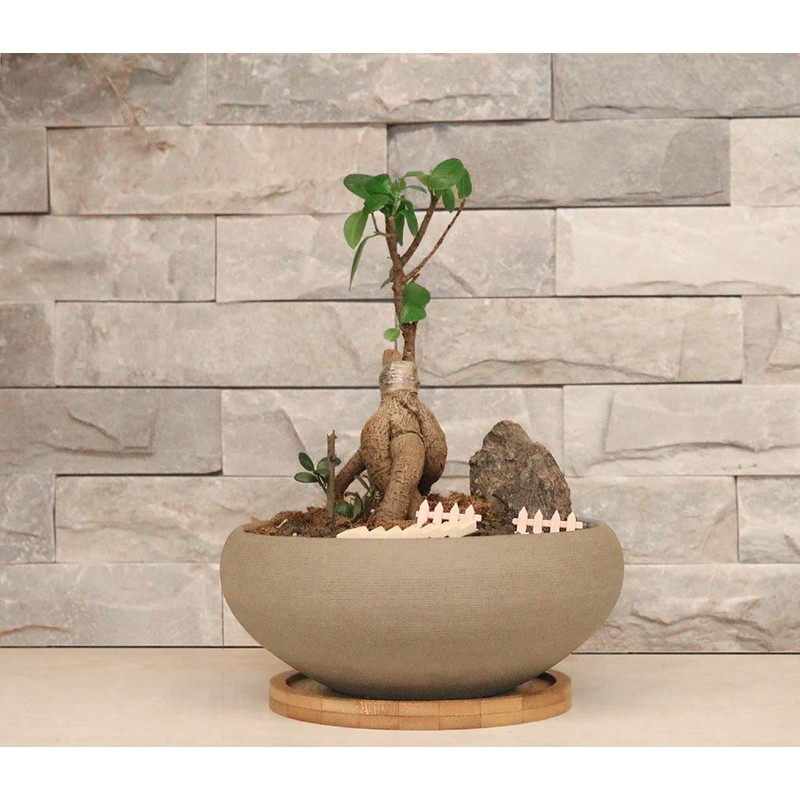 MUZHI Round Unglazed Ceramic Bonsai Pot with Bamboo Tray, Large