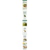 Salmushi 100% domestic pine needle powder 300g / 살므시 100%