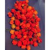 Superhot Seeds 50+ Random SUPERHOT Pepper Seeds. Over 20 Different