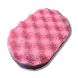 Soap Filled Exfoliating Sponge (Bonn Bonn)