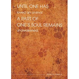 Unawakened Soul Pet Sympathy Card