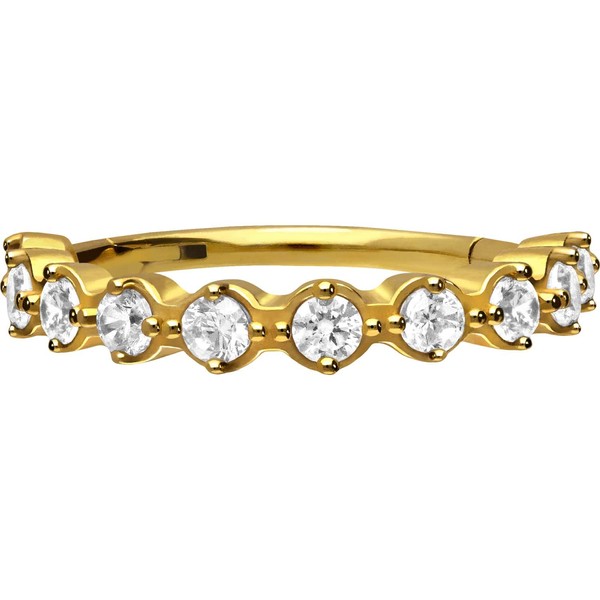 PIERCINGLINE Surgical Steel Segment Ring Clicker | Encased Crystals |