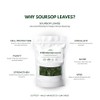 Wild Soursop Leaves – 100% Natural | Sun-Dried Herbal Tea