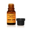 Ceylon Cinnamon Bark Oil - 10ml (0.33oz) net - Steam