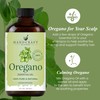 Handcraft Blends Handcraft Blends Oregano Oil - 1 Fl Oz