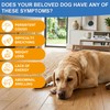 lVERMECT Tablets for Dogs, High-Purity Digestive Health Support, Supports Canine