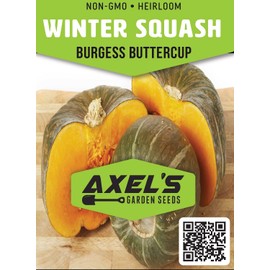 Winter Squash Seeds for Planting – Plant & Grow Burgess Buttercup Squash – Instructions to Plant Non GMO Heirloom Home Outdoor Vegetable Garden – Great Gardening Gift, 2 Packets