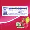 Mentos Sugar Free Gum, Red Fruit Lime, 50 Piece Bottle,