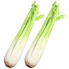 Alipis 2pcs Artificial Celery Models, Lifelike Pu Simulation Vegetables for