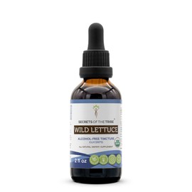 Secrets of the Tribe Wild Lettuce USDA Organic | Alcohol-Free Extract, High-Potency Herbal Drops, Digestive | Made from 100% Certified Organic Wild Lettuce (Lactuca virosa) Dried Herb 2 oz