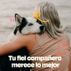 Dogelthy Pure Salmon Oil Aceite de Salmon con Omega 3,6