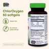 Herbs Etc. ChlorOxygen Chlorophyll Concentrate - Aids Healthy Blood Circulation