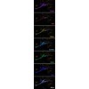 RGB multicoloured ambient lighting interior lighting 6 metres light strip