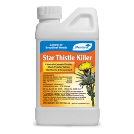 Monterey LG5468 0.5 PT Star Thistle, 8 Ounce