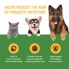 Cats and Dogs Natural Broad Spectrum, with Probiotics, Homeopathic Support