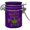 TMI Airtight Glass Herb Mini Storage Jar with Clamping Lid