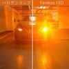 Fenikso S25 Different Pin Angle LED Turn Signal Amber Cornering