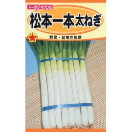 Tohoku Co., Ltd. Matsumoto Ippon Leek 02201