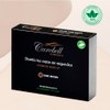 Carebell Eyebrows 10 Eyebrow Makeup (C-01 Ash Blonde) · Light