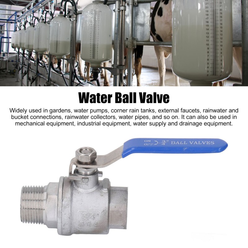 Ball Valve Female Male Thread 3/4in Stainless Steel Good Sealing