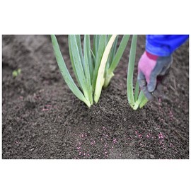 MC Green Insecticide Necilia Ace K, 21.3 oz (600 g)