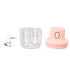 Mini Garlic Chopper Space Saving Small Size Clean Easily Simple
