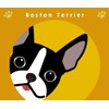 Staring Boston Terrier Dog Sticker Orange Back MK-2