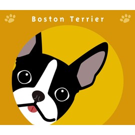 Staring Boston Terrier Dog Sticker Orange Back MK-2