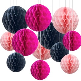 CC wonderland zone 12pcs Hot Pink and Black Paper Honeycomb Balls,6" & 10" Hanging Tissue Pom poms for Birthday Party Decoration