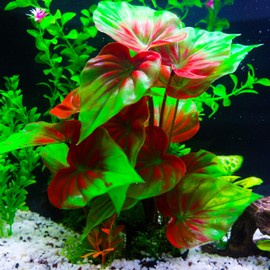 AQUA KT Aquarium Background Plant Grass for Fish Tank Ornament Landscape, Made of Plastic, Red Green