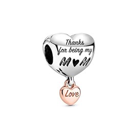 Lkwidi Charm Family Heart Animal Charm Pendant 925 Sterling Silver Charm Bead Pendant for European Bracelets and Necklaces, Silver, Cubic Zirconia